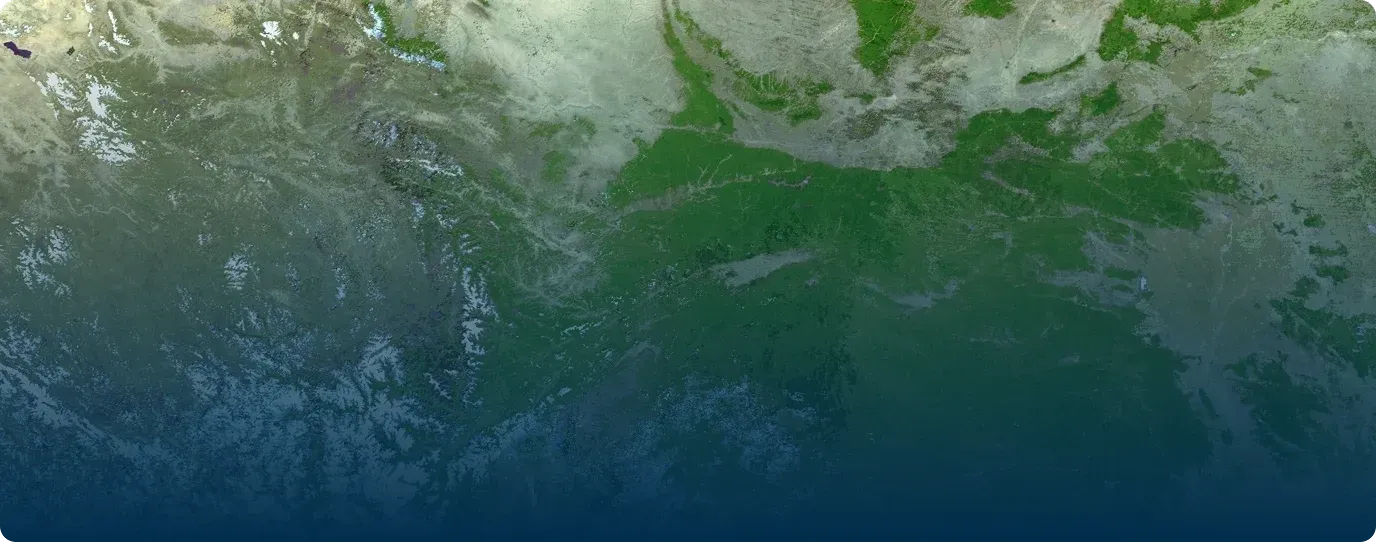 SBM - Sustainable Business Management